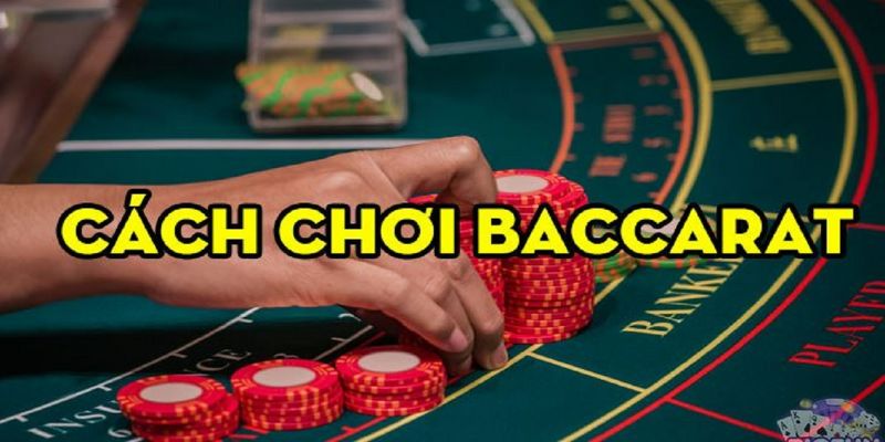 cach-choi-bai-baccarat-luon-thang-cao-thu-lau-nam